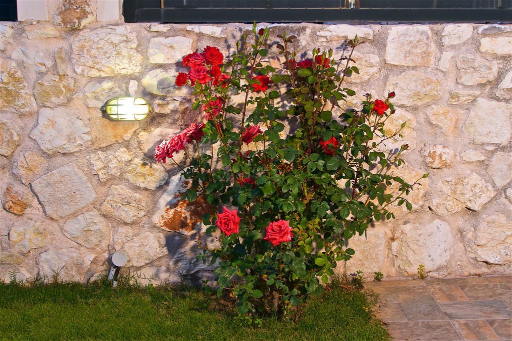 Superb Villa With Private Pool Peaceful Location Sami  Bagian luar foto